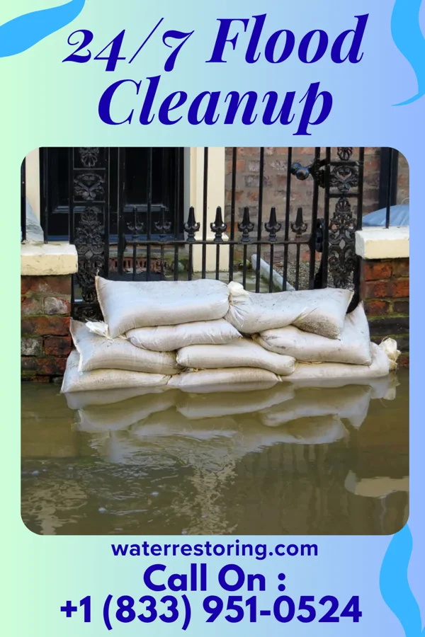 24/7 Flood Cleanup in Hollyvilla, KY