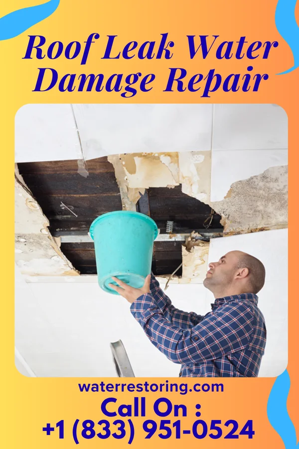Roof Leak Water Damage Repair in Hollyvilla, KY