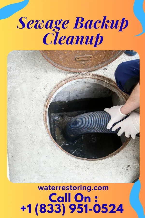 Sewage Backup Cleanup in Hollyvilla, KY